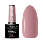 CLARESA Hybrid nail polish Frosty Morning 8 -5g
