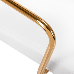 Kosmetologinė kėdė QS-OF211G, aukso ir baltos sp.