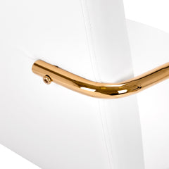 Kosmetologinė kėdė QS-OF211G, aukso ir baltos sp.