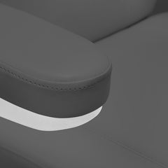 Elektrinė kosmetologinė kėdė SILLON CLASSIC 3 el. varikliai, (pilka)