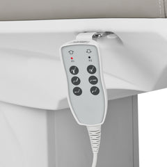 ELEKTRINIS GULTAS AZZURRO 891 , 3 VARIKLIAI (PILKAS)
