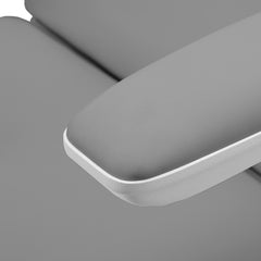 Elektrinis kosmetologinis gultas Sillon Eclipse, 3 pavaros – pilkas