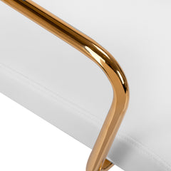 Kosmetologinė kėdė QS-OF211G – šviesiai pilka su auksiniu rėmu