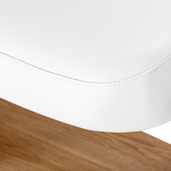 Sillon Relax elektrinis SPA gultas – baltas, šviesiai rudas pagrindas