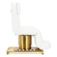 Elektrinis kosmetologinis gultas MAX PRO 2 - 3 motorai, baltas