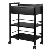 Mobili spintelė tatuiruočių salonams PRO INK 1019A