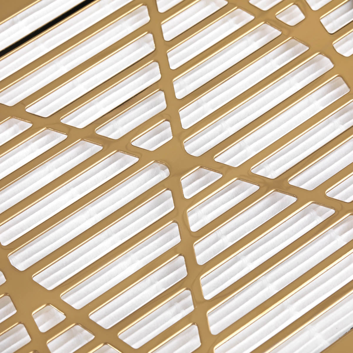 Profesionalus dulkių surinkėjas MOMO J-23 GOLD