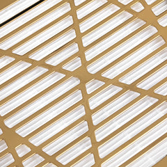 Profesionalus dulkių surinkėjas MOMO J-23 GOLD