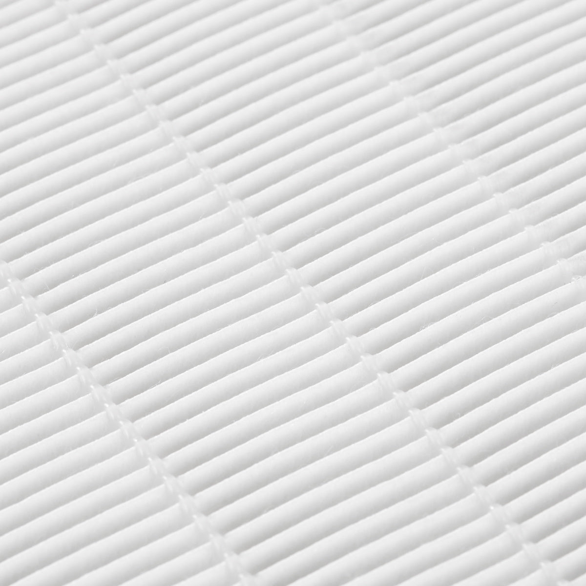 Profesionalus dulkių surinkėjas MOMO J-23 GOLD