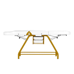 Kosmetologinis gultas 557G su porankiais, baltas su auko sp. apdaila