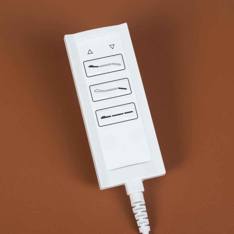 Elektrinė SPA / masažo lova "SPA & Wellness BCH-2009", 3 varikliai (ruda)