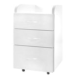 Kosmetologinis vežimėlis- spintelė „COMBI CABINET II“ (balta)