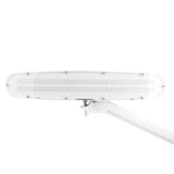 Lempa su reguliuojamu intensyvumu ir atsapalviu tvirtinama prie stalo ELEGANTE 801-L LED