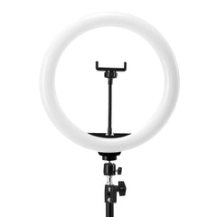ŽIEDINĖ LEMPA SU STOVU, GLOW 13″ RGB, 10W