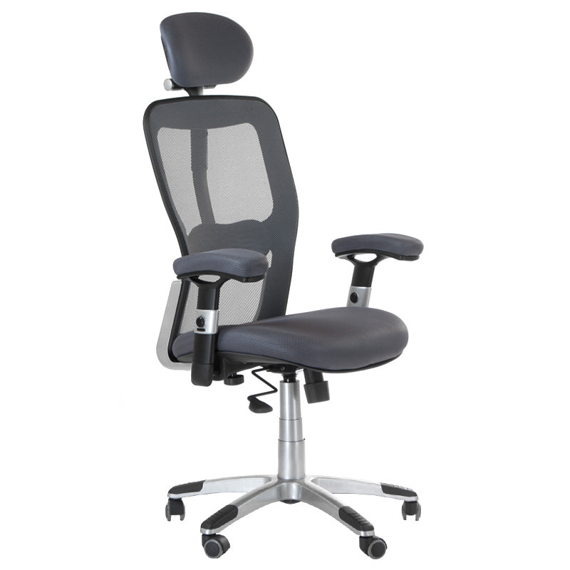 1-Fotel ergonomiczny CorpoComfort BX-4147 Szary-1