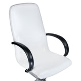 Pedikiūro kėdė su masažine vonele BW-100 (balta)